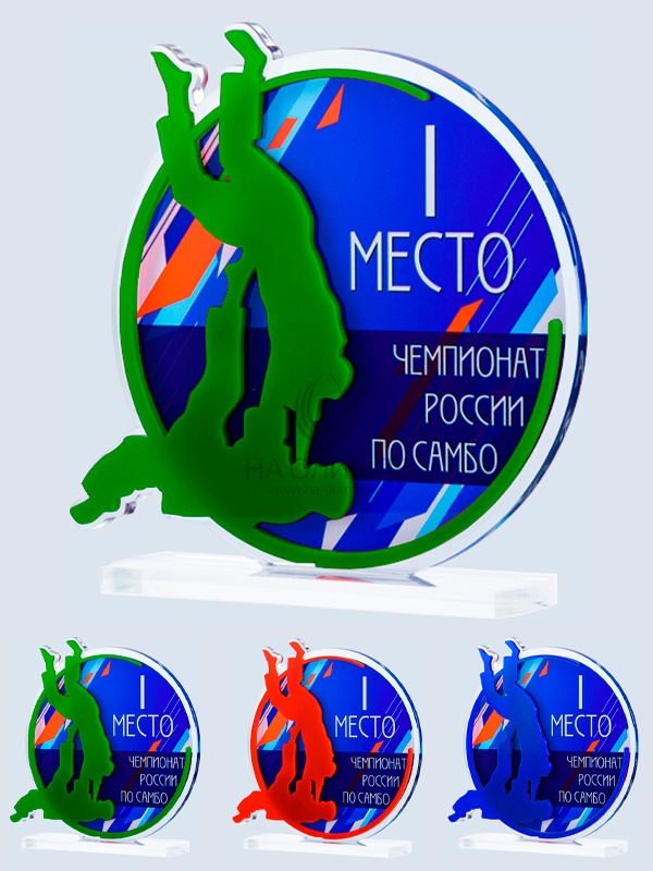 Приз из акрила 190 Rd Самбо, высота 16 см