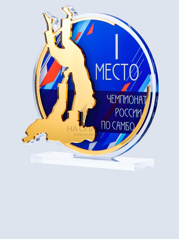 Приз из акрила 190 G Самбо, высота 16 см