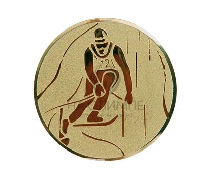 Вкладыш D1 Лыжи A93/G, диаметр вкладыша 25 мм