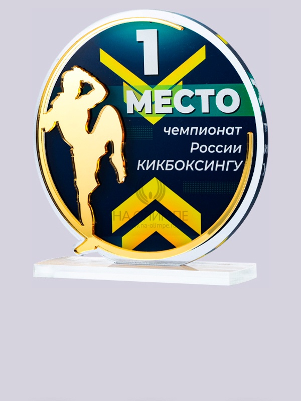 Приз из акрила 193 G Кикбоксинг, высота 16 см