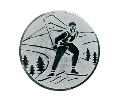 Вкладыш D1 Лыжи A94/S, диаметр вкладыша 25 мм