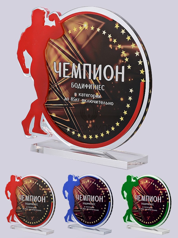 Приз из акрила 161 Rd Бодибилдинг, высота 16 см