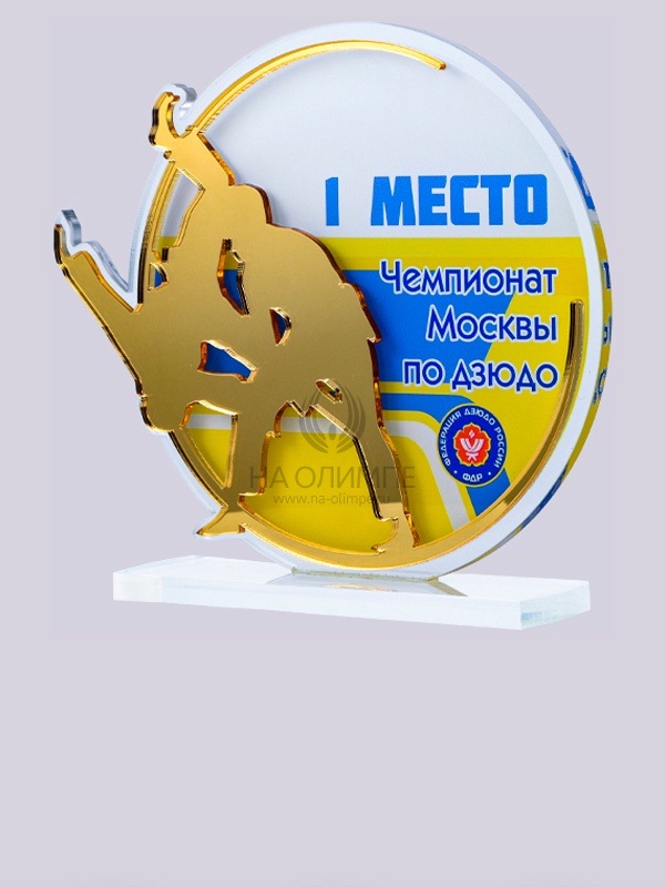 Приз из акрила 198 G Дзюдо, высота 16 см