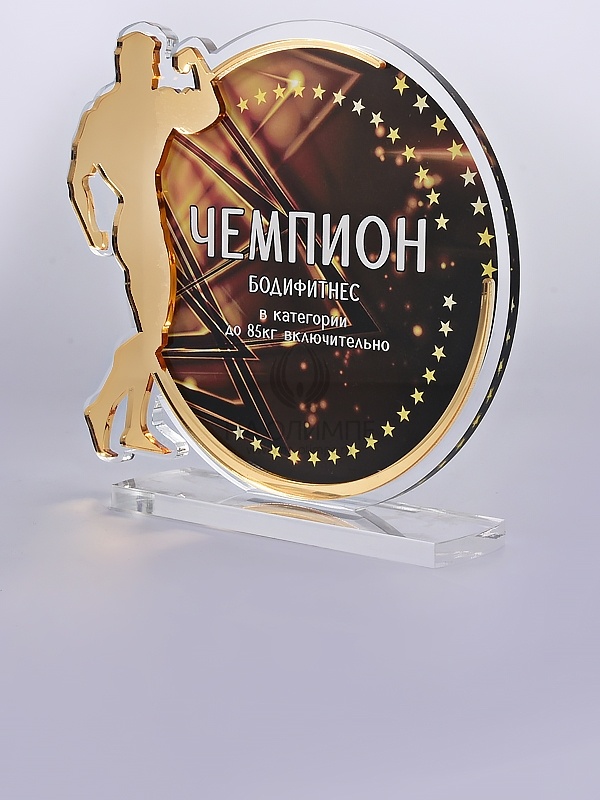 Приз из акрила 161 G Бодибилдинг, высота 16 см