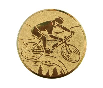 Вкладыш D1 Велоспорт A102, диаметр вкладыша 25 мм