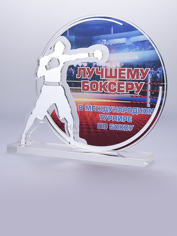 Приз из акрила 104 S Бокс, высота 16 см