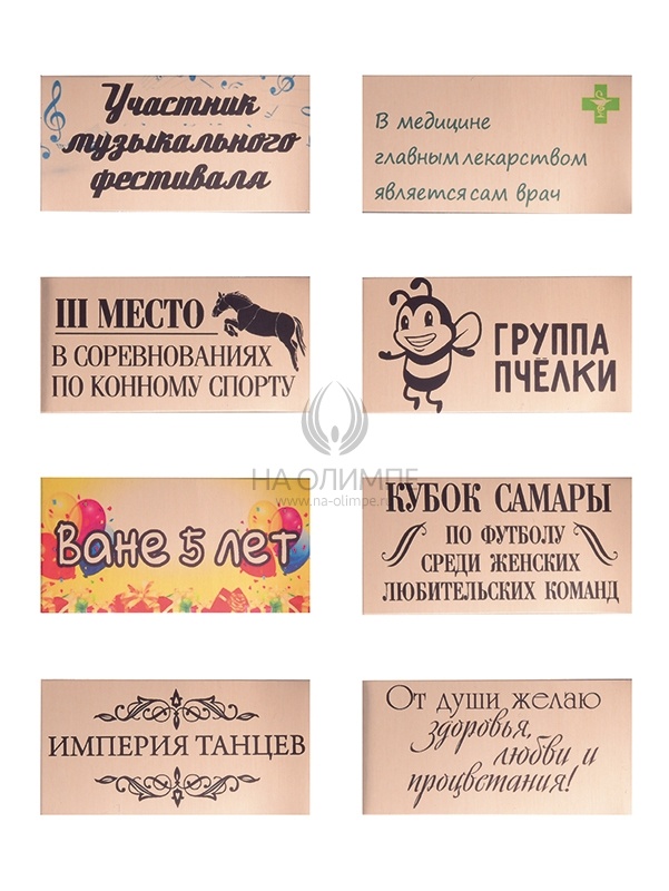 Оборот на медаль рамка металл B, цвет бронза