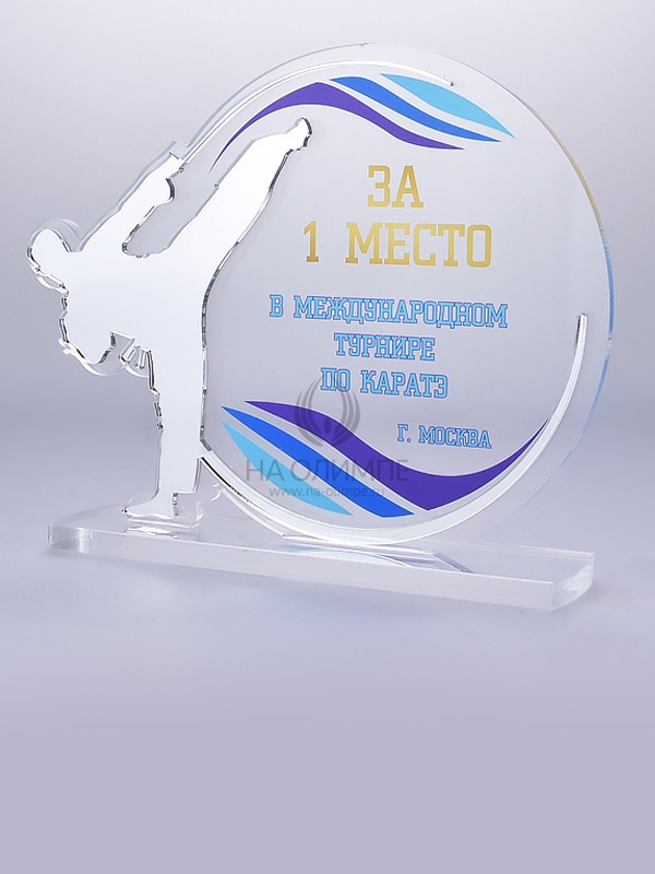 Приз из акрила 105 S Карате, высота 16 см