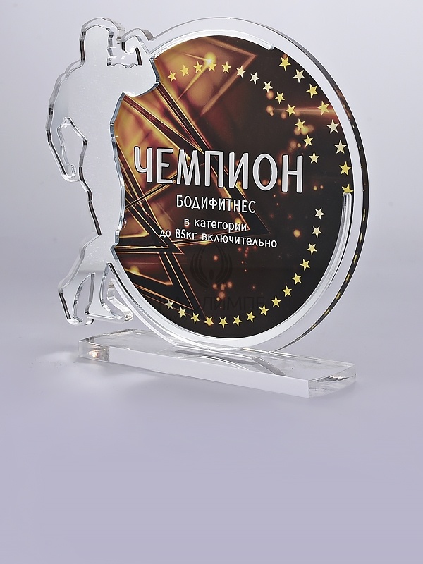 Приз из акрила 161 S Бодибилдинг, высота 16 см