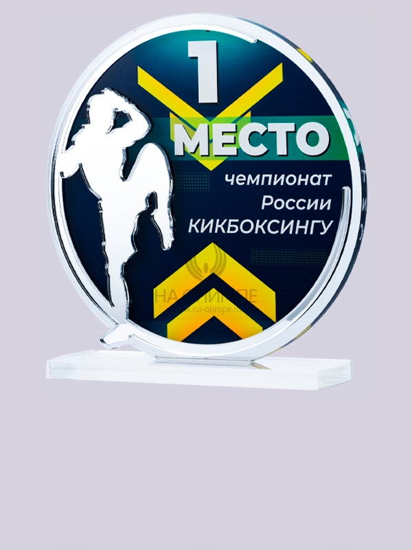 Приз из акрила 193 S Кикбоксинг, высота 16 см