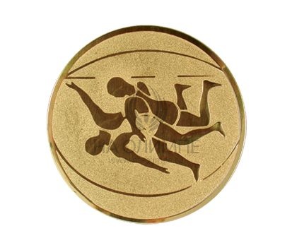 Вкладыш D1 Греко-римская борьба A61, диаметр вкладыша 25 мм