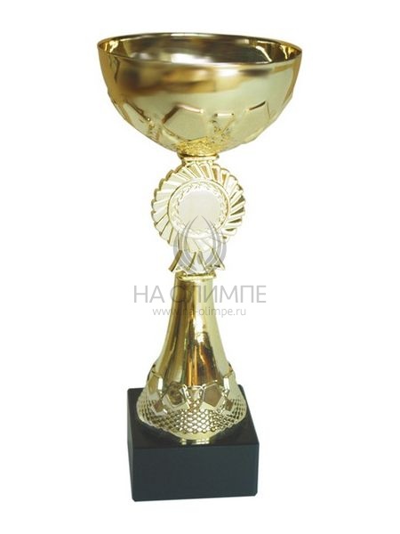 Кубок 04-08-01, высота 21.5 см