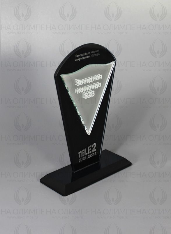 Награда 1657-170 с лазерной гравировкой, высота 17 см