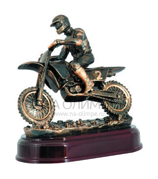 Мотокросс RST 191, высота 22 см