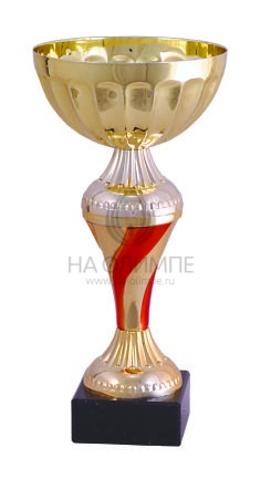 Кубок 7018 A, высота 26 см