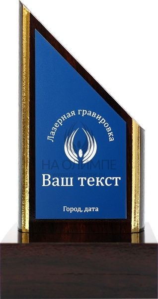 Плакетка WT2192 с лазерной гравировкой Pl 16 BL/Wh, размеры 195х80 мм