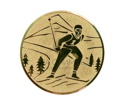 Вкладыш D1 Лыжи A94/G, диаметр вкладыша 25 мм