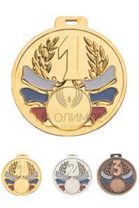 Медаль MD Rus 701 B, цвет бронза