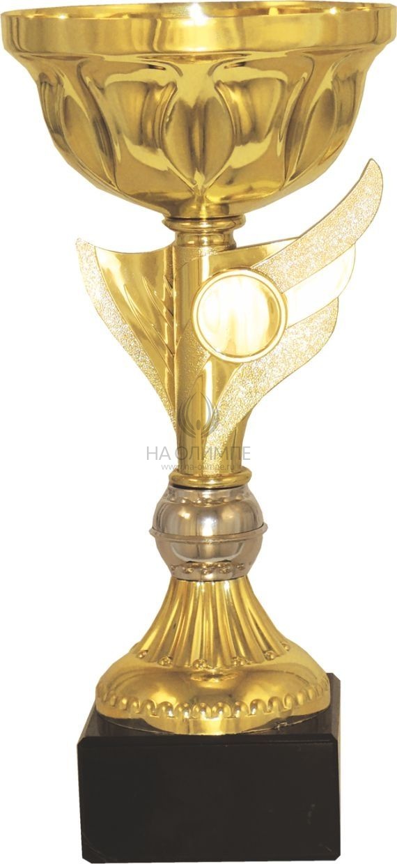 Кубок 9082 A, высота 25.5 см