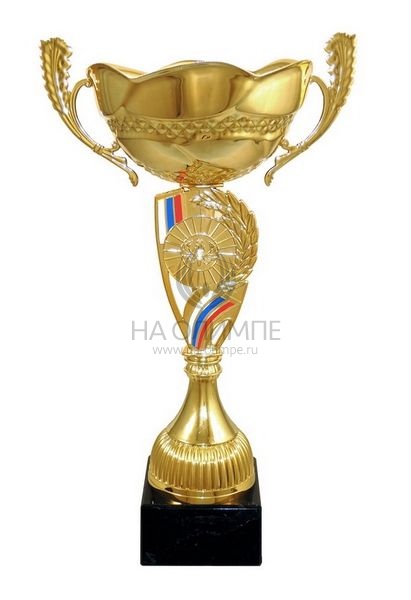 Кубок 4043 A, высота 38.5 см