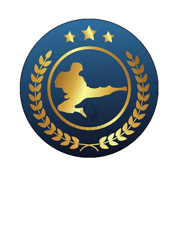 Вкладыш самоклеющийся D1 S307 Карате	, диаметр вкладыша 25 мм