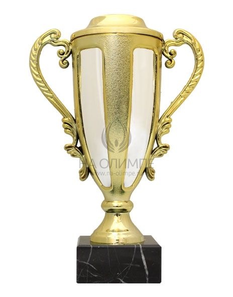 Кубок P004A-S, высота 21.5 см