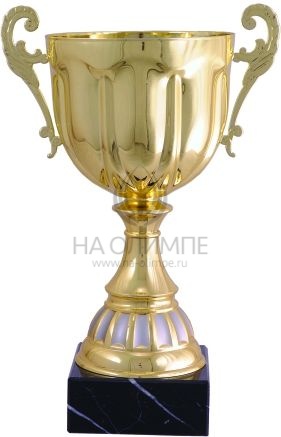 Кубок 3016 D, высота 26 см