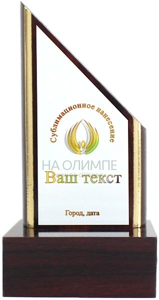 Плакетка WT2192 с цветным нанесением на белом металле, размеры 270х75х75 мм