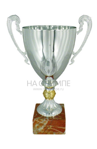 Кубок 3027 A, высота 44 см